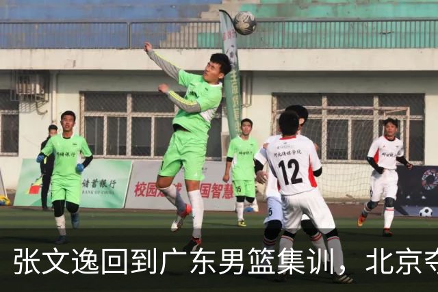 张文逸回到广东男篮集训，北京夺冠功勋确定退役，上海欲续约弗格